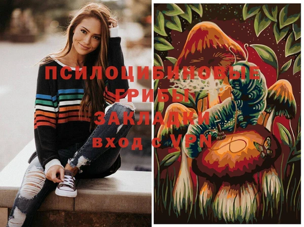 дмт Липки