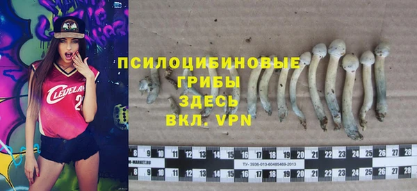 дмт Липки
